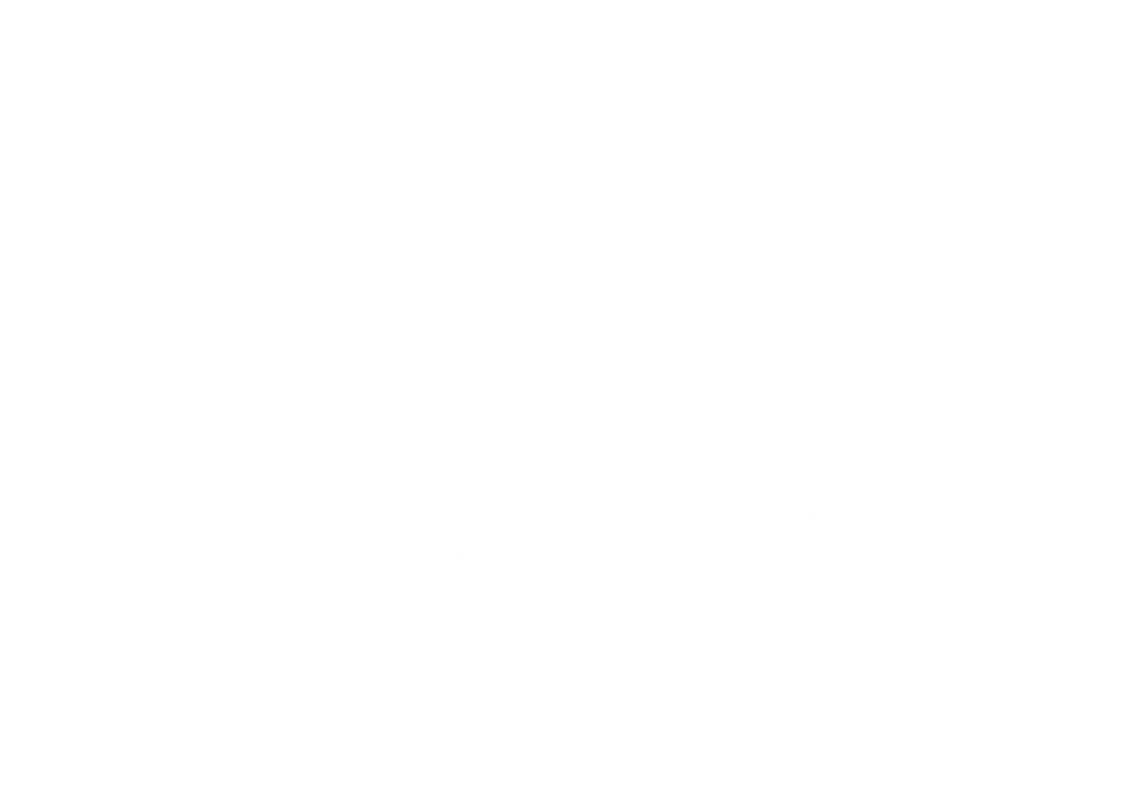ARIZE MEDIA